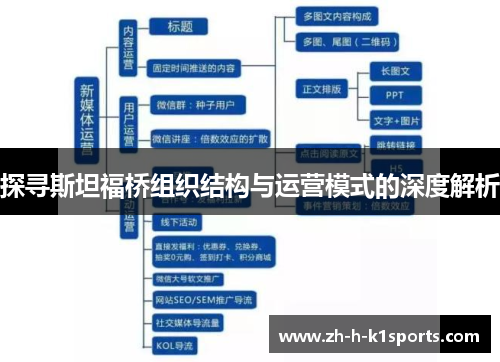 探寻斯坦福桥组织结构与运营模式的深度解析 探寻斯坦福桥组织结构与运营模式的深度解析